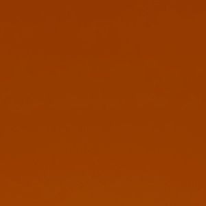 Meet your Posher, Troy